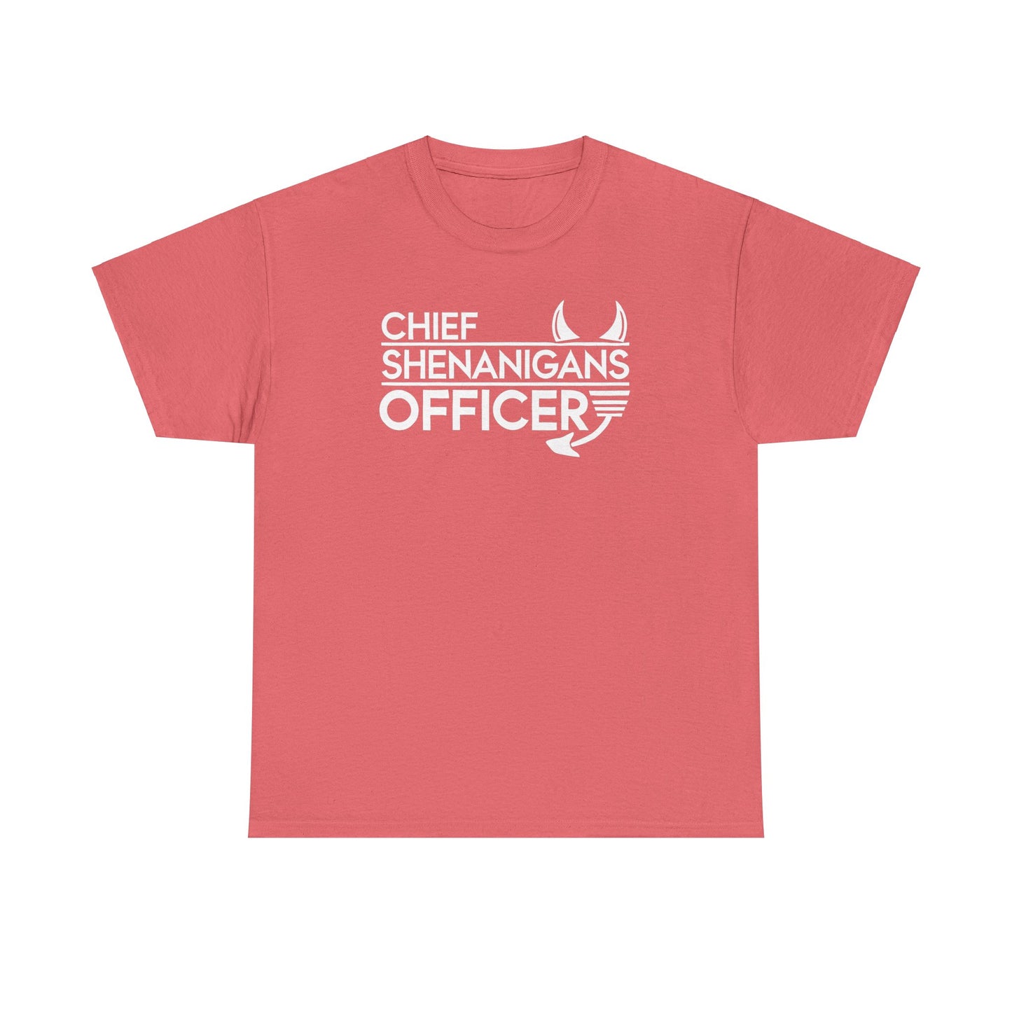 Chief Shenanigans Officer