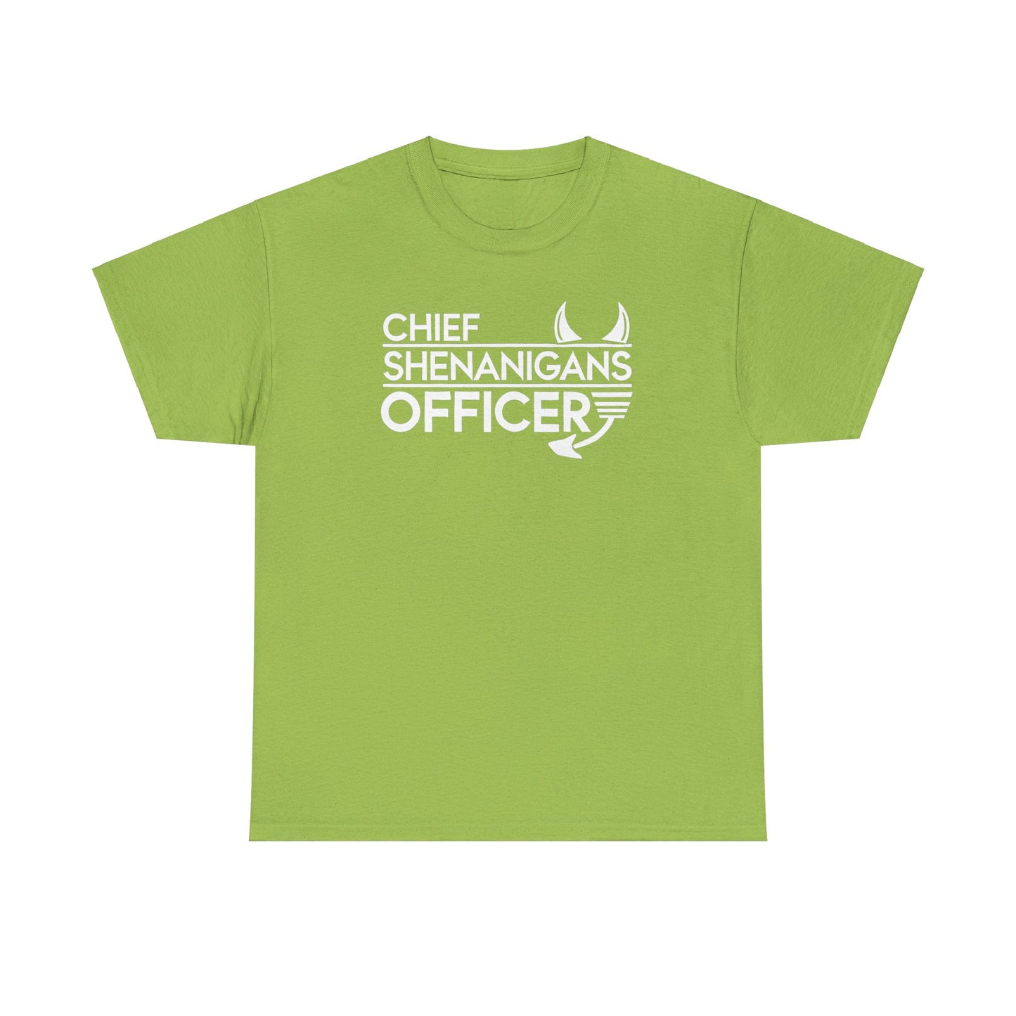 Chief Shenanigans Officer