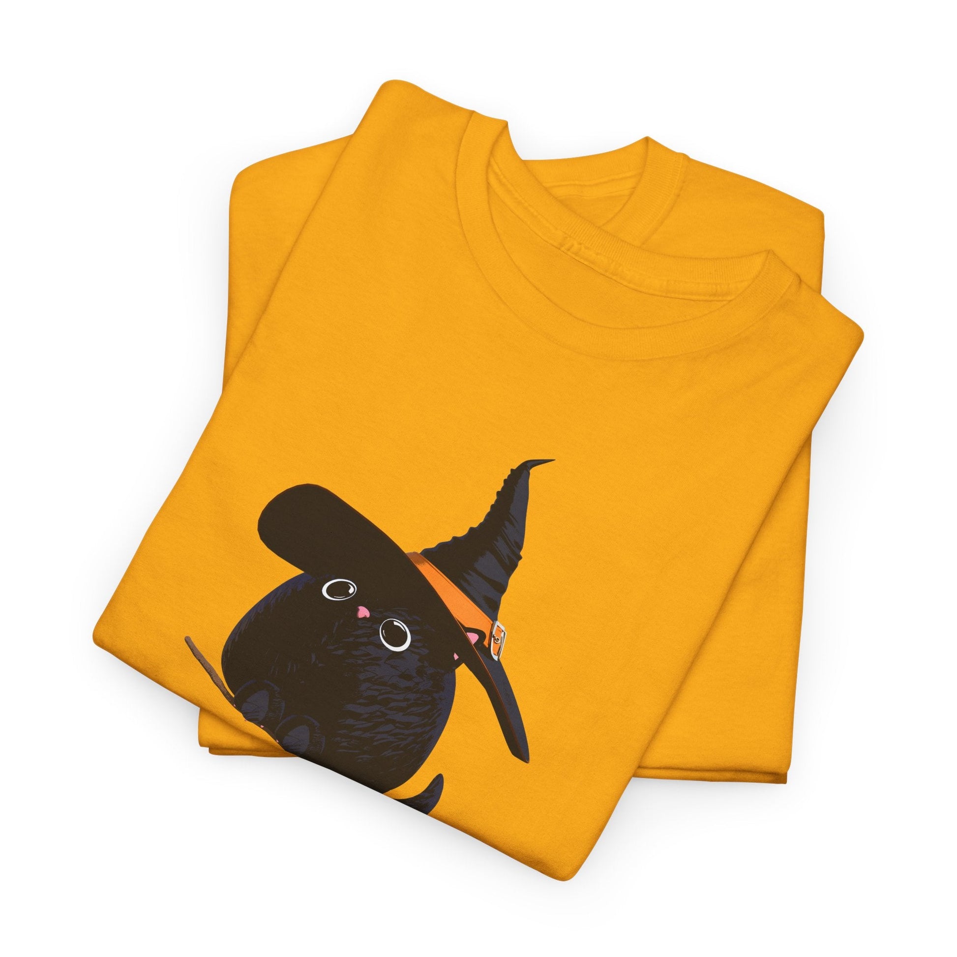 Halloween Kitty on a broom! - WhimsyInkWear